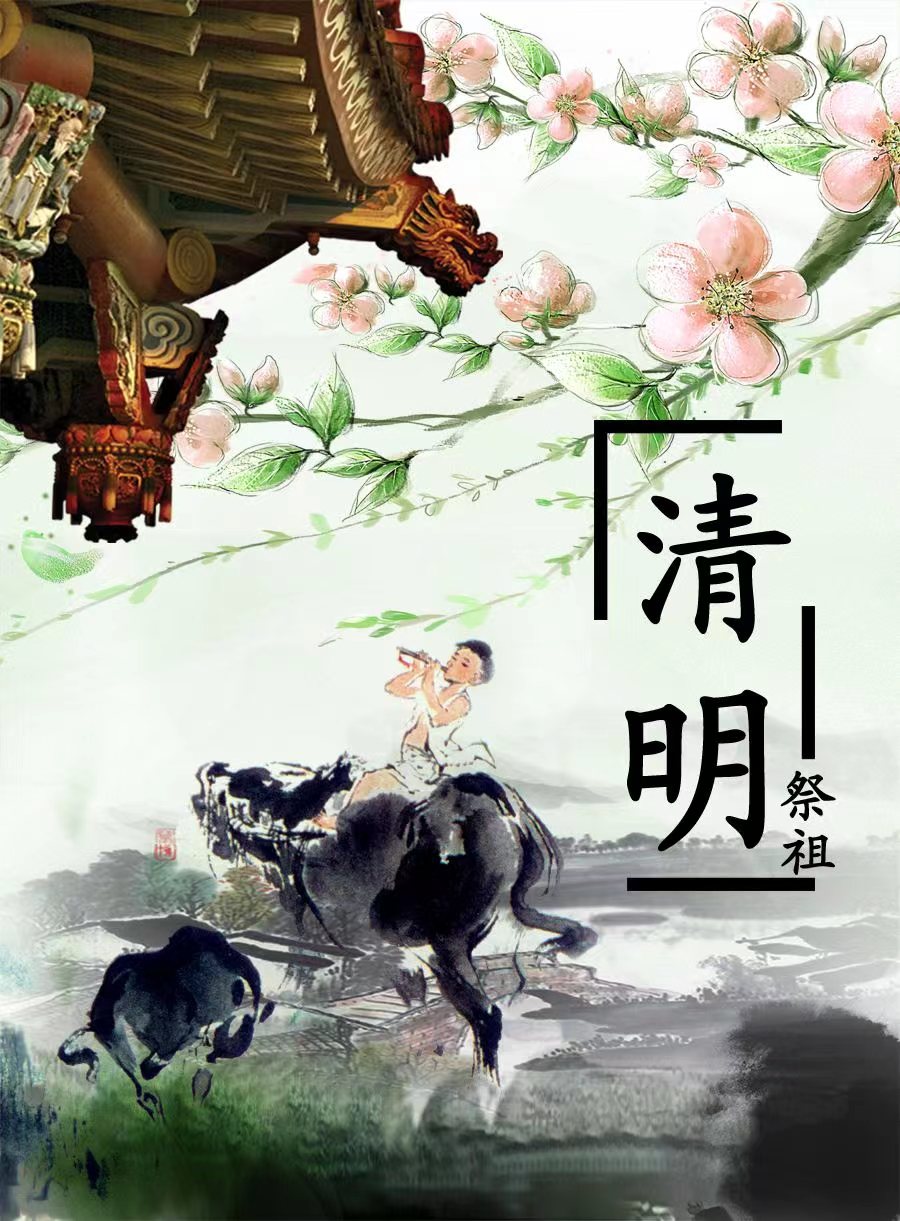 驾校培训